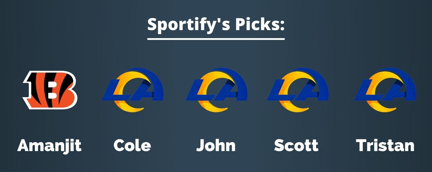 Super Bowl picks